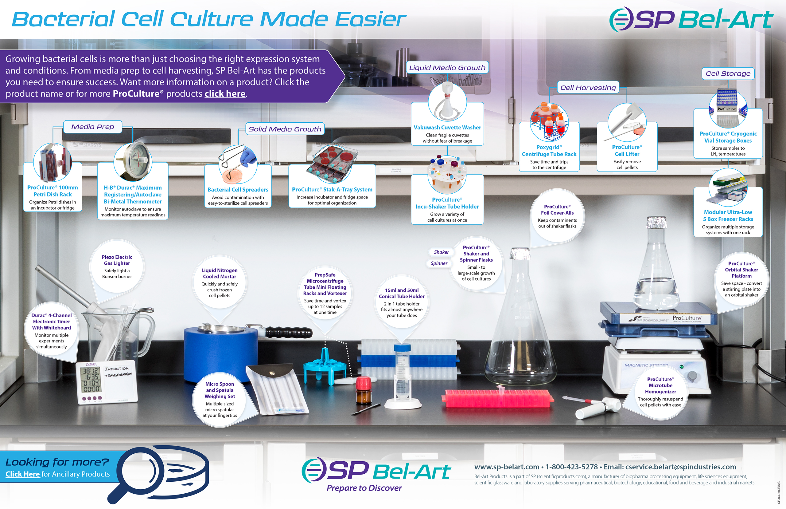 Image: Bacterial-Cell Culture Made Easier