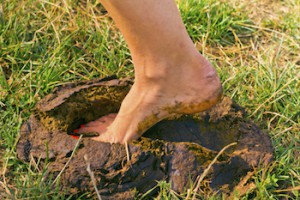 Image:  Foot in Manure