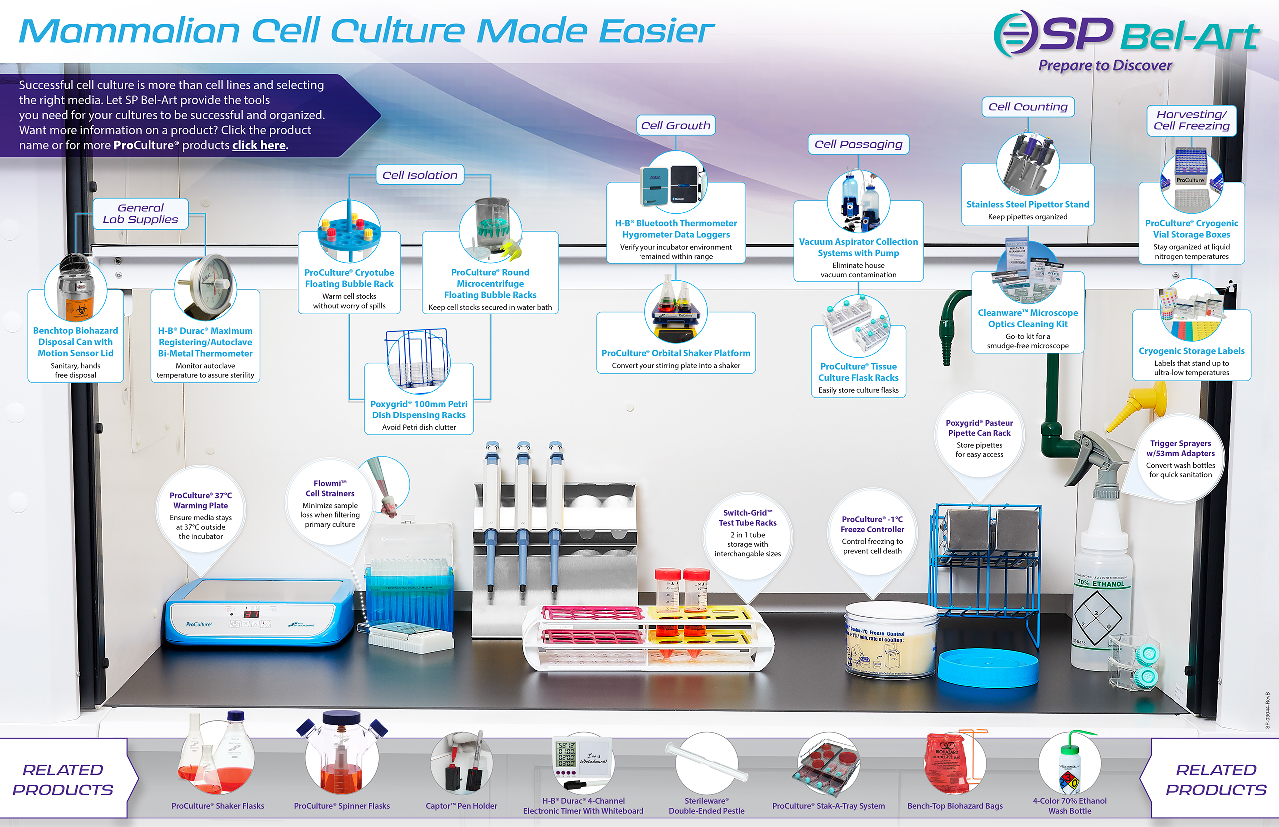 Image: Mammalian Cell Culture Made Simple