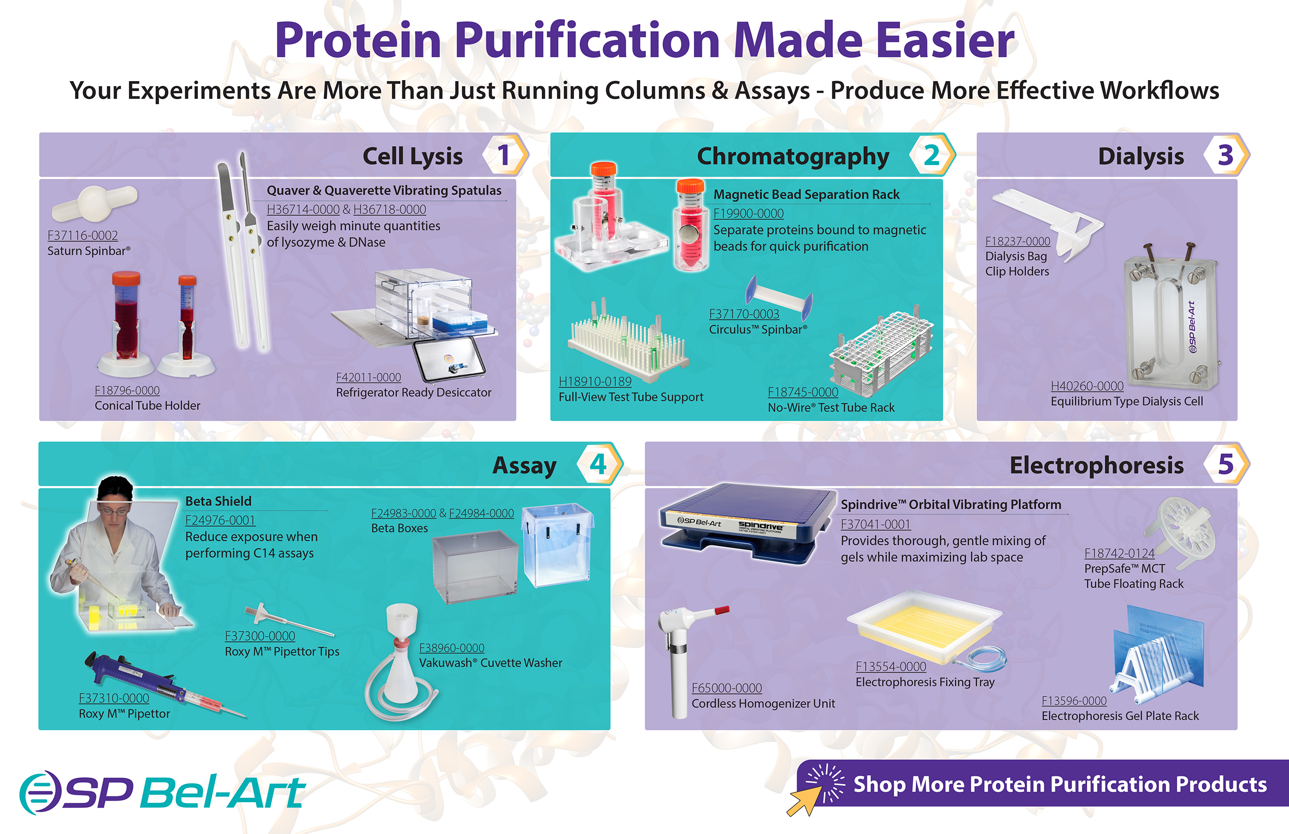 Image:  Protein Purification