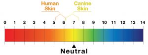 Image: pH value - human skin v canine skin