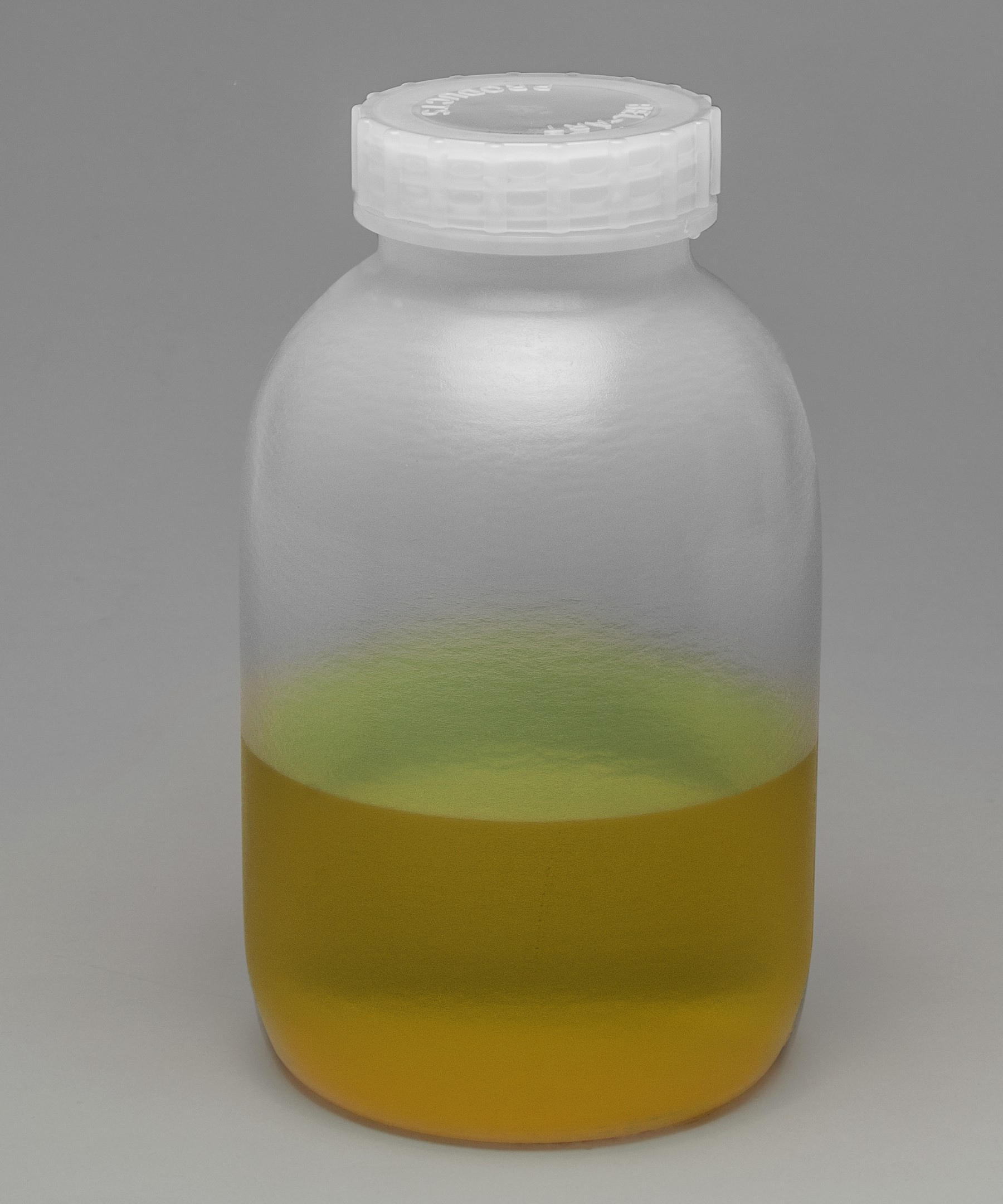 SP Bel-Art Wide-Mouth 2 L (½ gal) Polypropylene Mason Jars (Pack of 3)