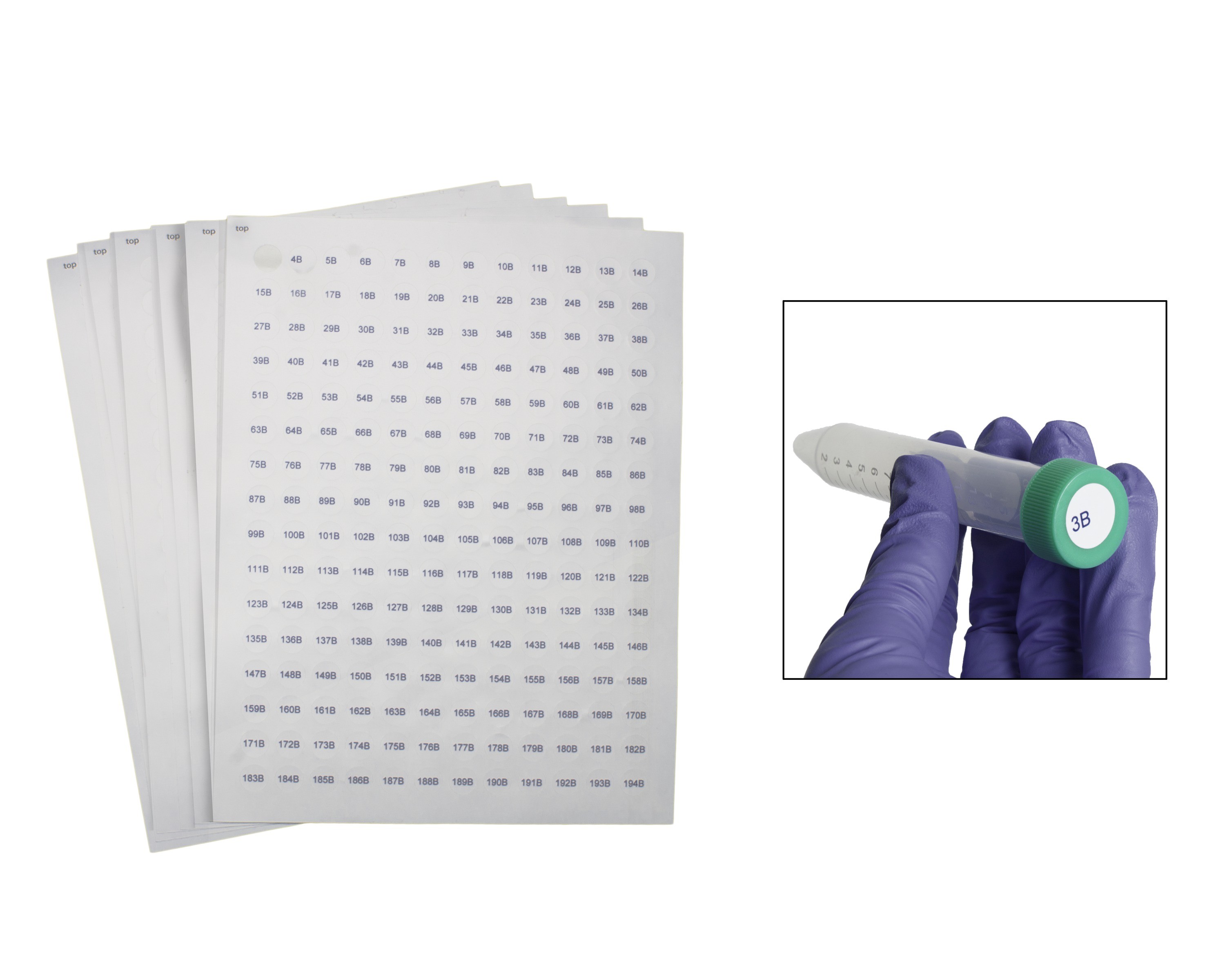 SP Bel-Art Cryogenic Storage Label Sheets; 13mm Dots for 1.5-2ml Tubes, White (3840 labels)