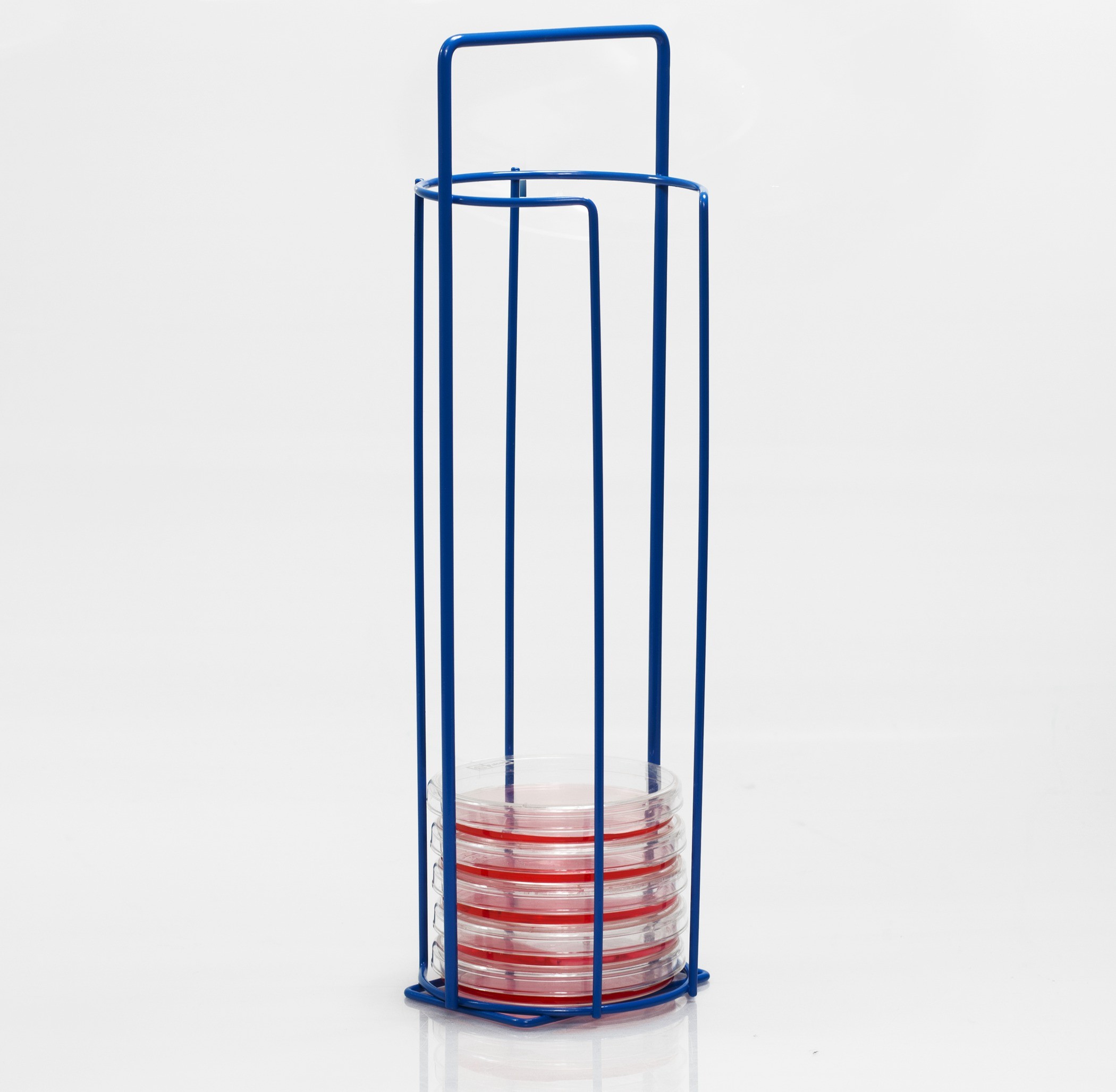 SP Bel-Art Poxygrid 100mm Petri Dish Carrying Rack; 15 Places