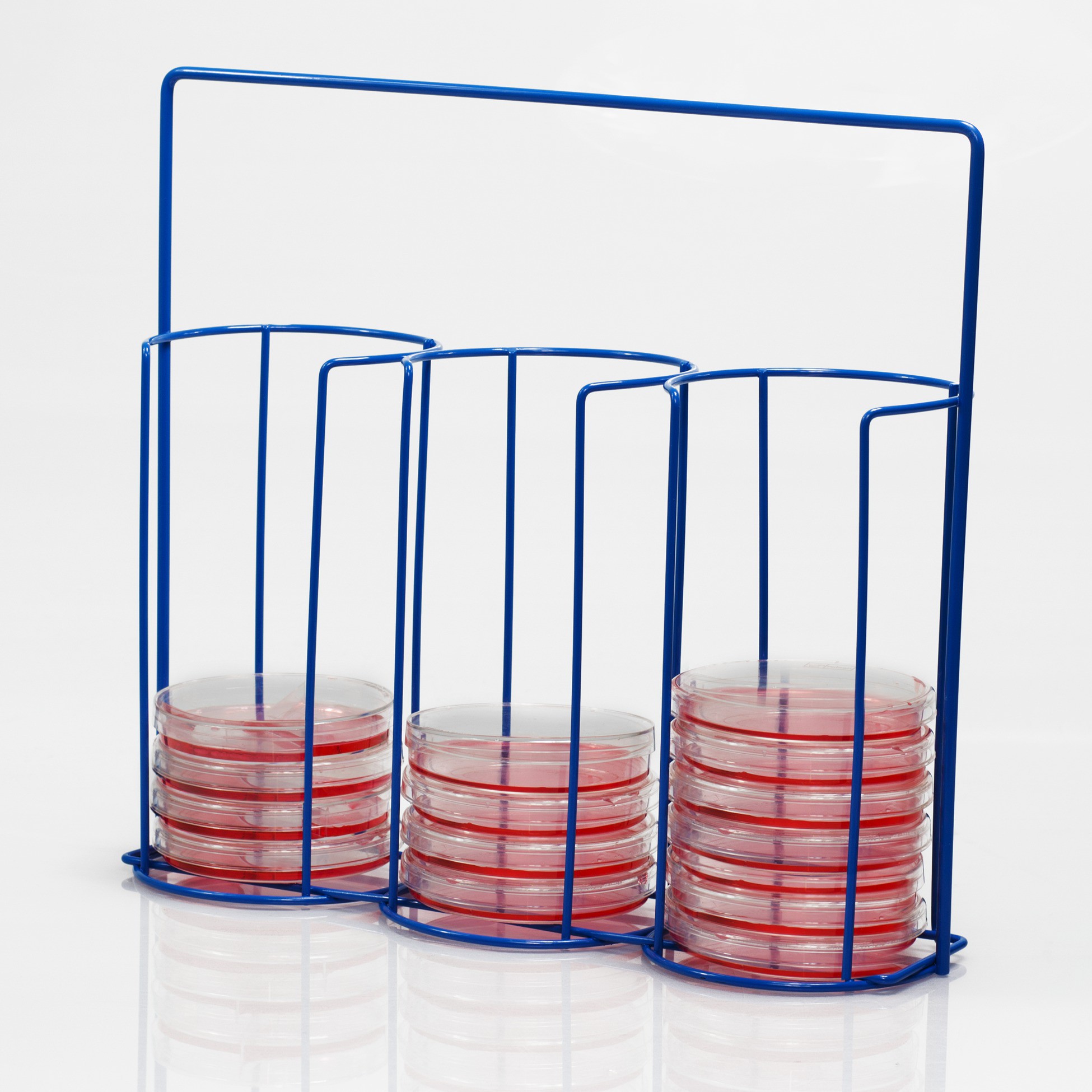BelArt Poxygrid 100mm Petri Dish Carrying Rack; 30 Places Default Store View