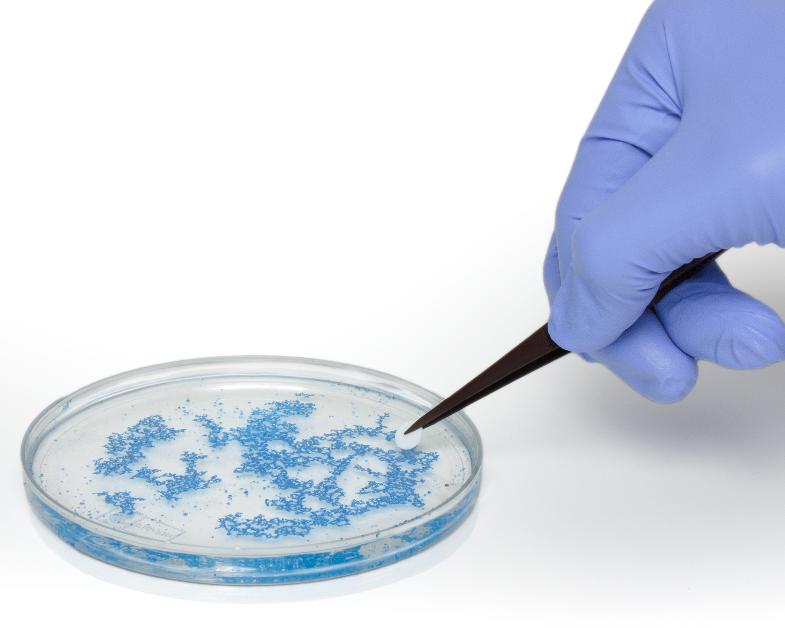 Sterile Cloning Discs