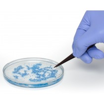 Sterile Cloning Discs