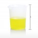 SP Bel-Art Graduated Griffin Low-Form 400ml Beakers; Polypropylene, 100ml Graduation (Pack of 6)