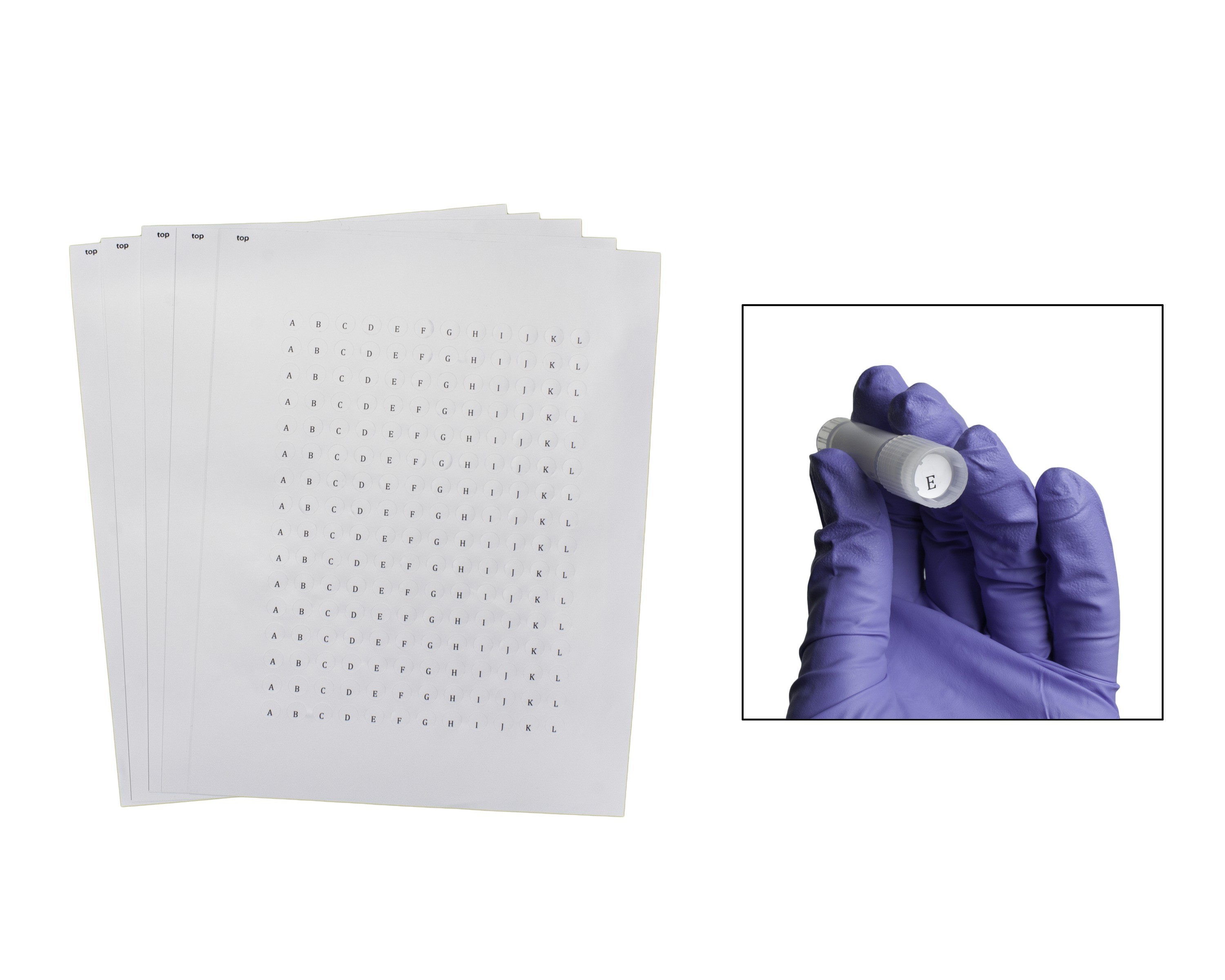 SP Bel-Art Cryogenic Storage Label Sheets; 9.5mm Dots for 0.5-1.5ml Tubes, White (3840 labels)