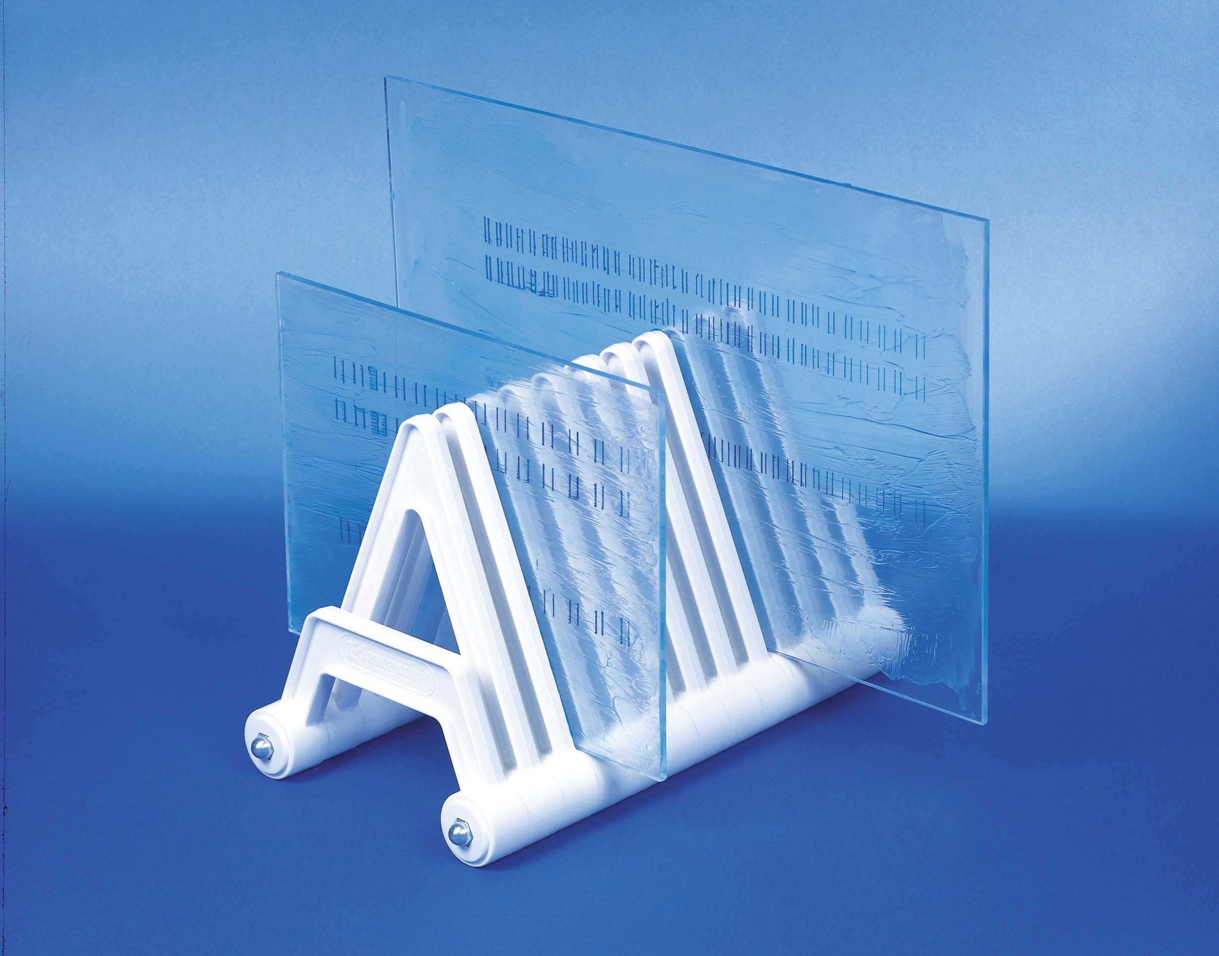 Electrophoresis Gel Plate Rack