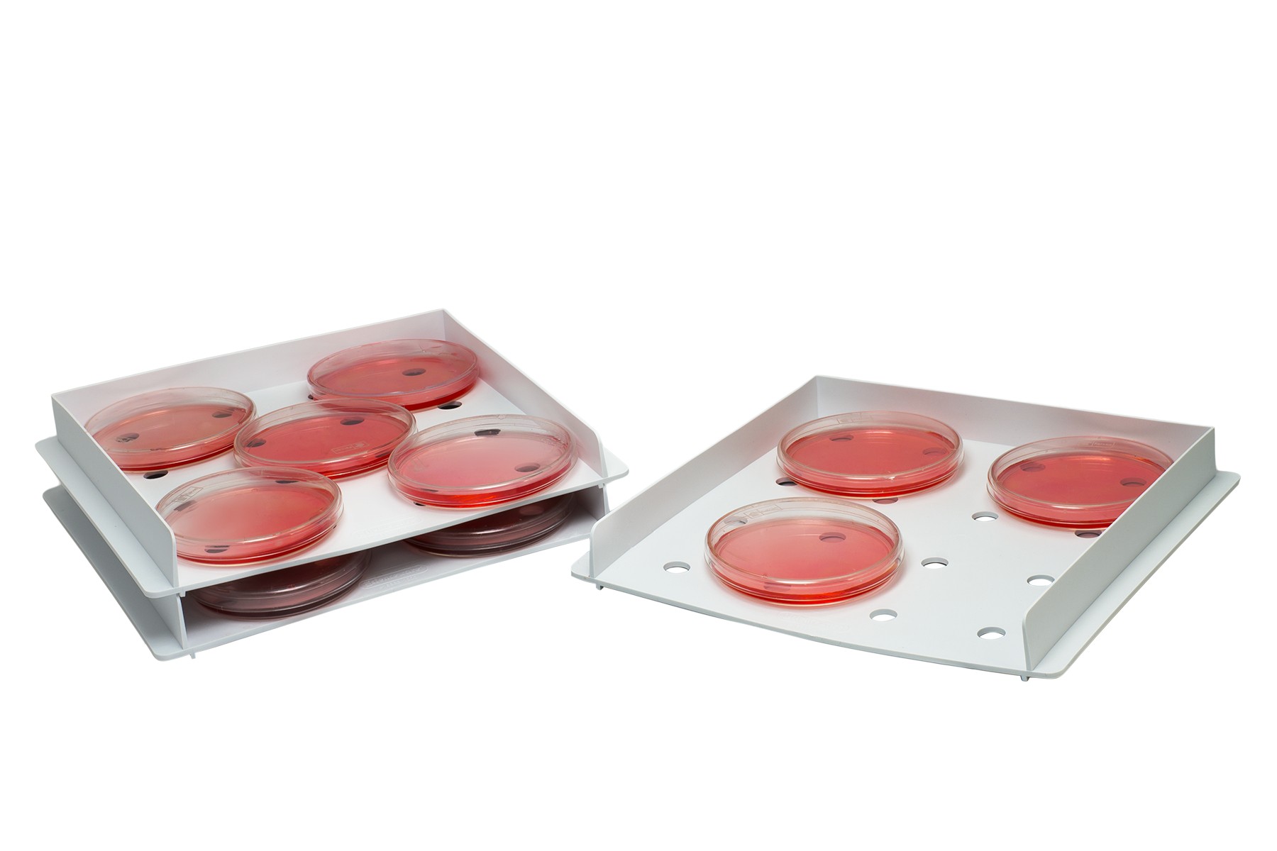 Stackable Petri Dish Incubation Tray