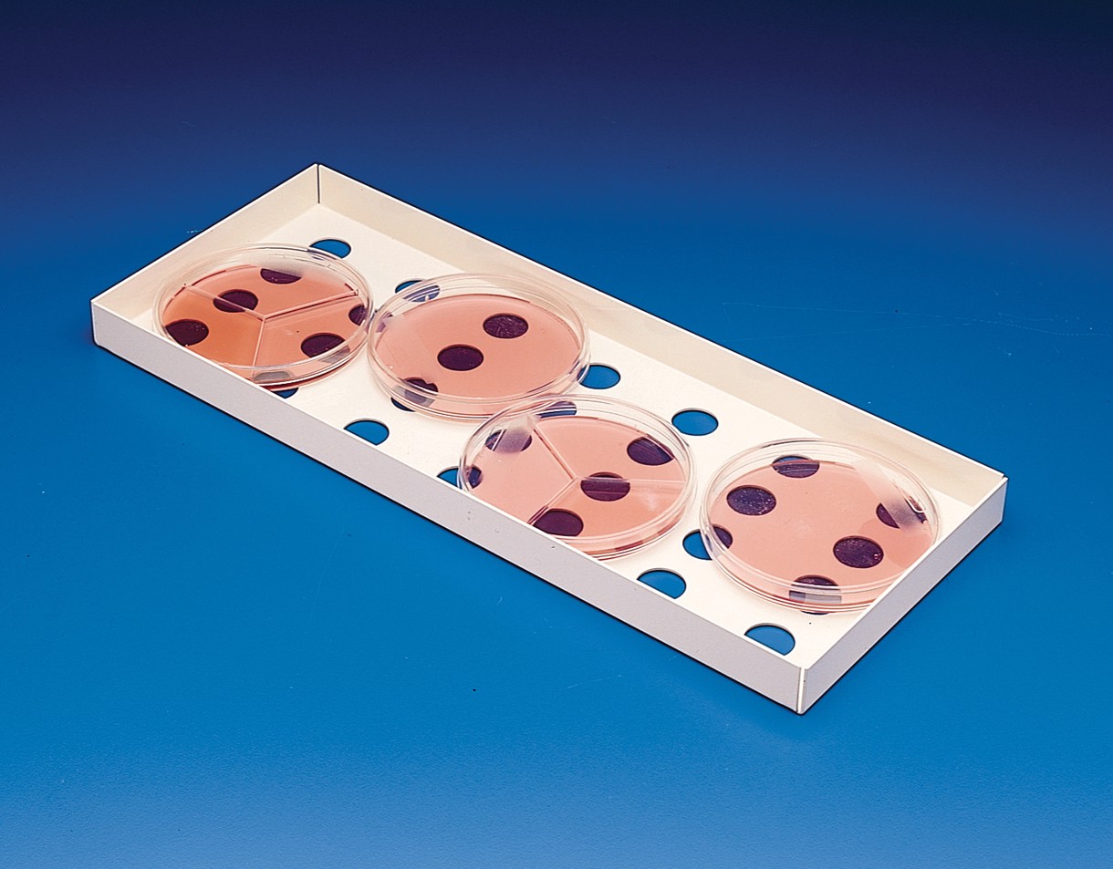 SP Bel-Art Petri Dish Incubation Tray; 13¾ x 5⅜ x ⅞ in., Steel