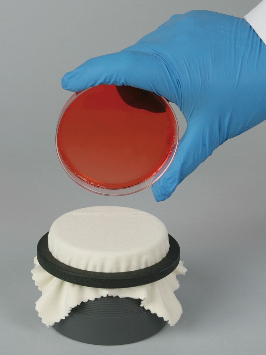 Colony Replica-Plating Device for Petri-Dishes