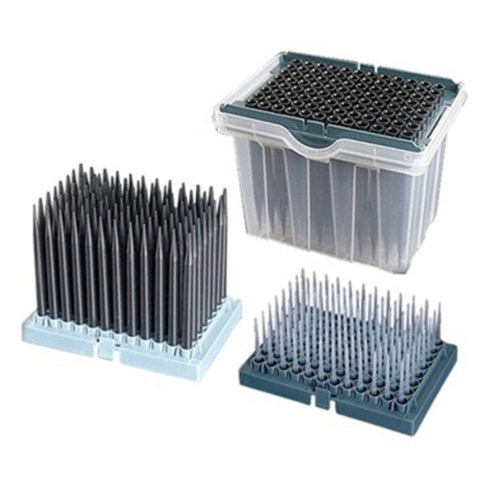 Robotic Sterile Filtered Pipette Tips; Tecan Type, 50uL, Conductive (Pack of 24 Racks x 96 Tips)