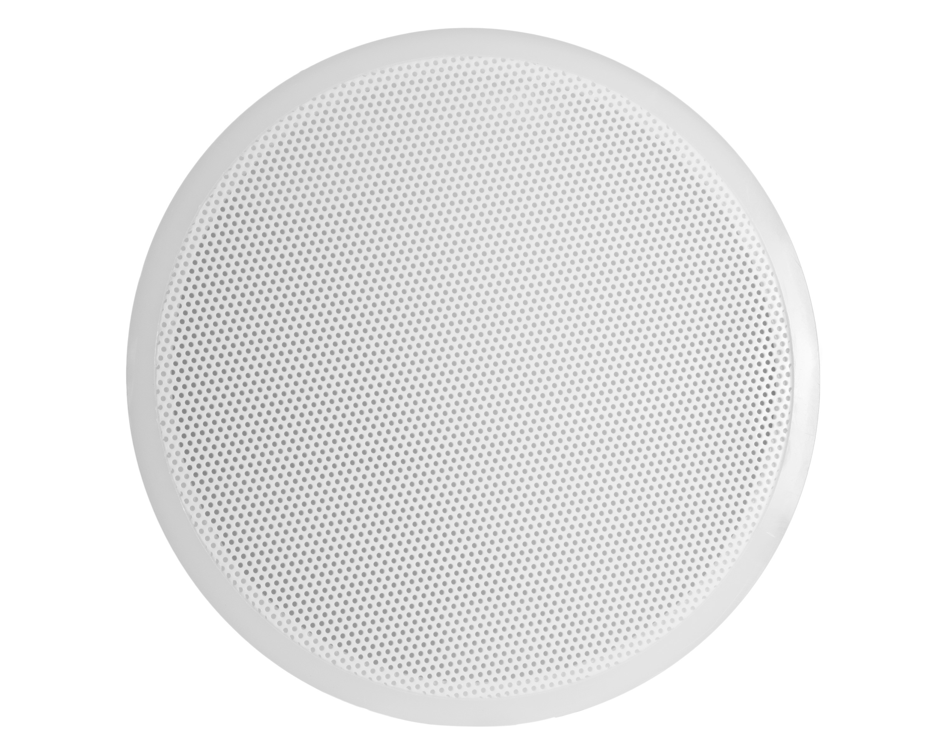 SP Bel-Art Polyethylene Perforated Filter Plate; for 24 in. I.D. Buchner Funnels