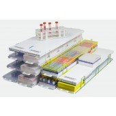 Modular Ultra-Low 5 Box Freezer Racks