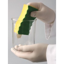 Cleanware Glassware Scrubbing Sponge