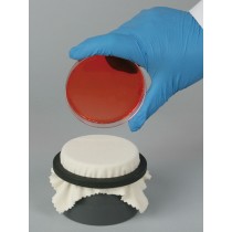 Colony Replica-Plating Device for Petri-Dishes