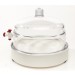 SP Bel-Art Polycarbonate Vacuum Chamber and Plate; 0.2 cu. ft.